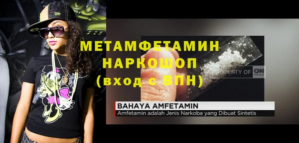 ПСИЛОЦИБИНОВЫЕ ГРИБЫ Абаза