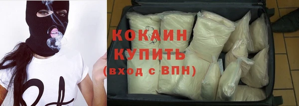 ПСИЛОЦИБИНОВЫЕ ГРИБЫ Абаза