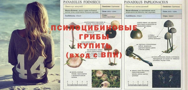 spice Алзамай